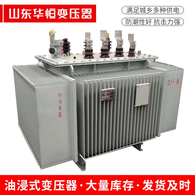S13-10000/35天长天长天长电力变压器厂家