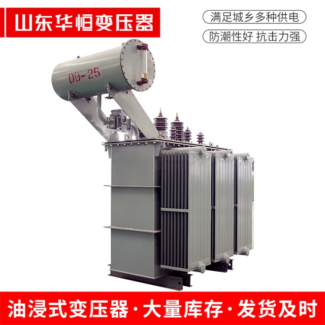 S11-10000/35天长天长天长电力变压器厂家